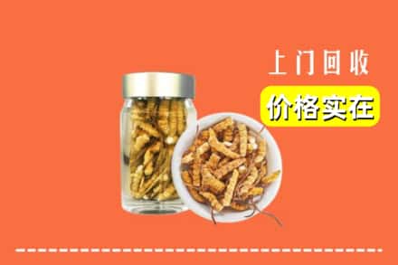 收购资讯:会理县回收散虫草