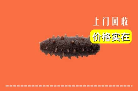 收购资讯:会理县回收海参