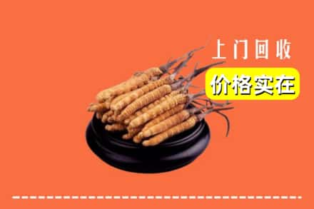 会理县回收冬虫夏草