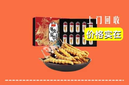 会理县回收虫草